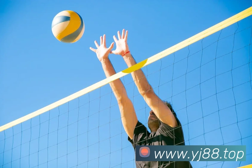 悟空体育官网登录平台生态图